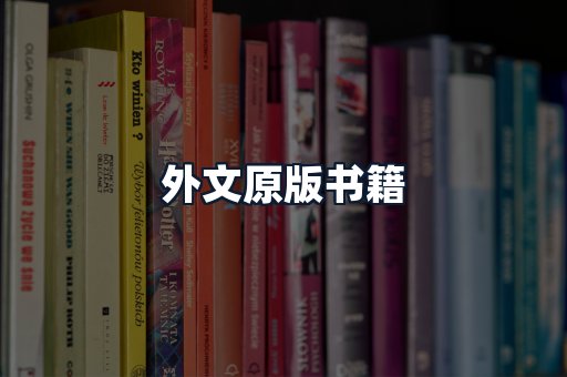 外文原版书籍
